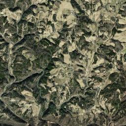 Aerial view of Ivy Creek