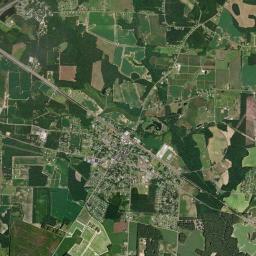 Pine Level High Resolution Satellite Map