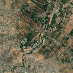 Selouane High Resolution Satellite Map