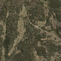 Ponderosa Pine High Resolution Satellite Map