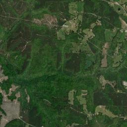 1880 County Rd 18 Hodges AL Satellite Map