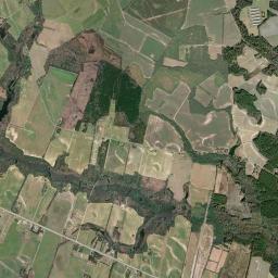 Aerial view of Bellyache Creek