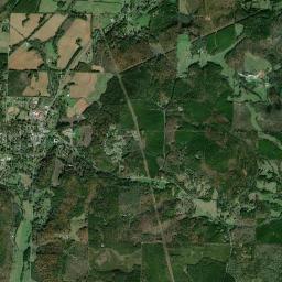 Cave Spring High Resolution Satellite Map