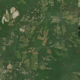 Locust Fork High Resolution Satellite Map