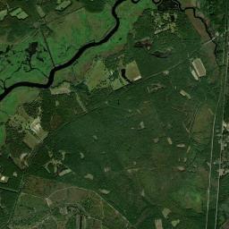 4569-4701 State Highway 41, Francis Marion National Forest, H Satellite Map