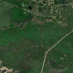 Jenkins County High Resolution Satellite Map