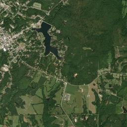 Tuskegee High Resolution Satellite Map