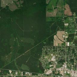 Forest High Resolution Satellite Map