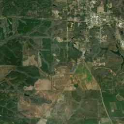 Buena Vista High Resolution Satellite Map