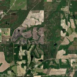 Wilcox County High Resolution Satellite Map