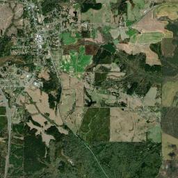 Brundidge High Resolution Satellite Map