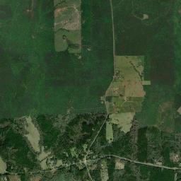 Milam High Resolution Satellite Map