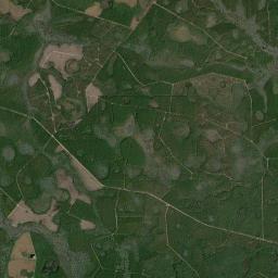 Ware County High Resolution Satellite Map