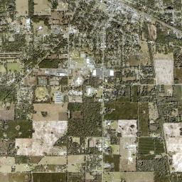 Live Oak High Resolution Satellite Map