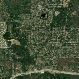 Roman Forest High Resolution Satellite Map