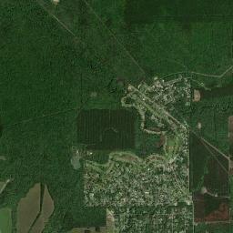 Pinewood Estates High Resolution Satellite Map