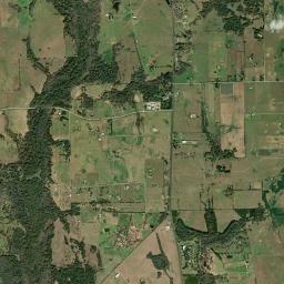 Pine Island High Resolution Satellite Map