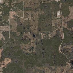 Taylor County High Resolution Satellite Map