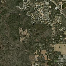 Alachua High Resolution Satellite Map