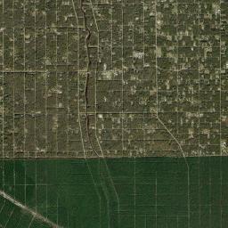 Flagler Estates High Resolution Satellite Map