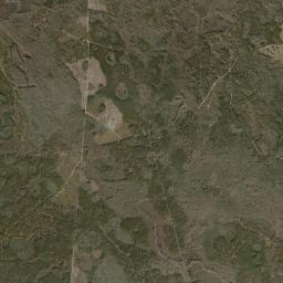 Dixie County High Resolution Satellite Map