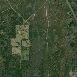 Levy County High Resolution Satellite Map