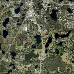 Lutz High Resolution Satellite Map