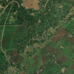 Tinsukia High Resolution Satellite Map