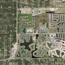 Orangetree High Resolution Satellite Map