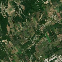 El Bosque High Resolution Satellite Map