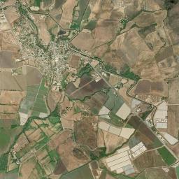 El Limón de los Ramos High Resolution Satellite Map