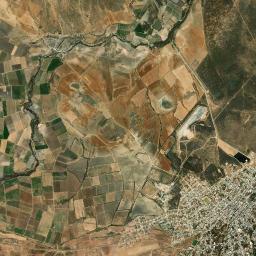 Miguel Auza High Resolution Satellite Map