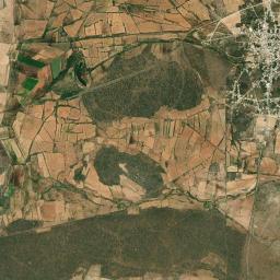 Villa de Ramos High Resolution Satellite Map