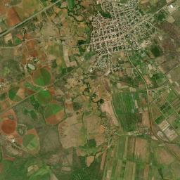 Municipio de Los Palacios High Resolution Satellite Map