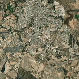 Encarnación de Díaz High Resolution Satellite Map