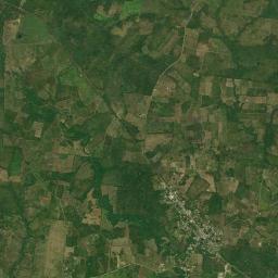 Ojite Rancho Nuevo High Resolution Satellite Map