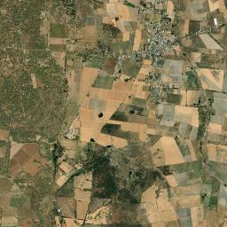 Palos Altos High Resolution Satellite Map