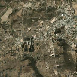 San Francisco de la Palma High Resolution Satellite Map