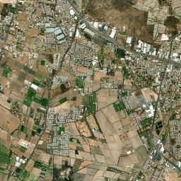El Pino High Resolution Satellite Map