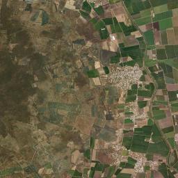 Zapote de Peralta High Resolution Satellite Map