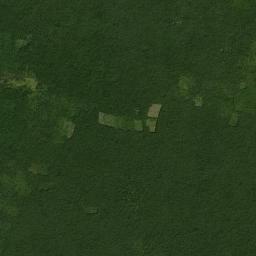 Tixcacalcupul High Resolution Satellite Map