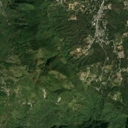 Tierra Negra High Resolution Satellite Map