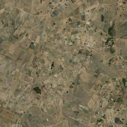 El Palmito High Resolution Satellite Map