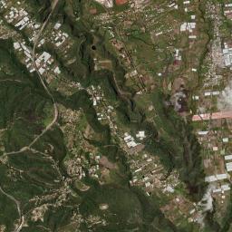 Ejido de la Finca High Resolution Satellite Map