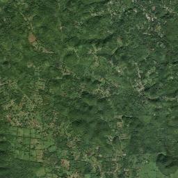 Copse High Resolution Satellite Map
