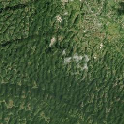 Bamboo High Resolution Satellite Map