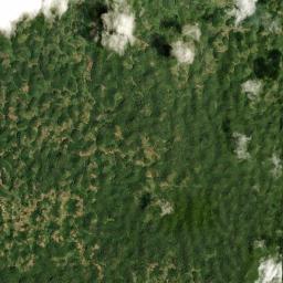 Calderwood High Resolution Satellite Map