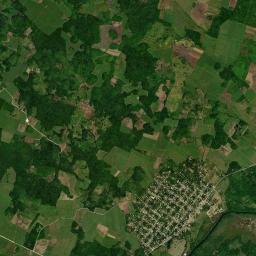 Cacao High Resolution Satellite Map