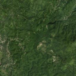 Pear Tree Grove High Resolution Satellite Map