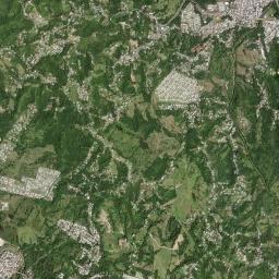 Juncos High Resolution Satellite Map